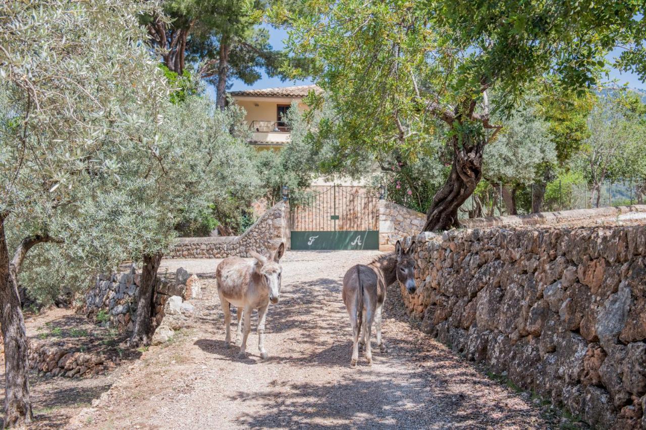 Raco De Soller Villa Kültér fotó