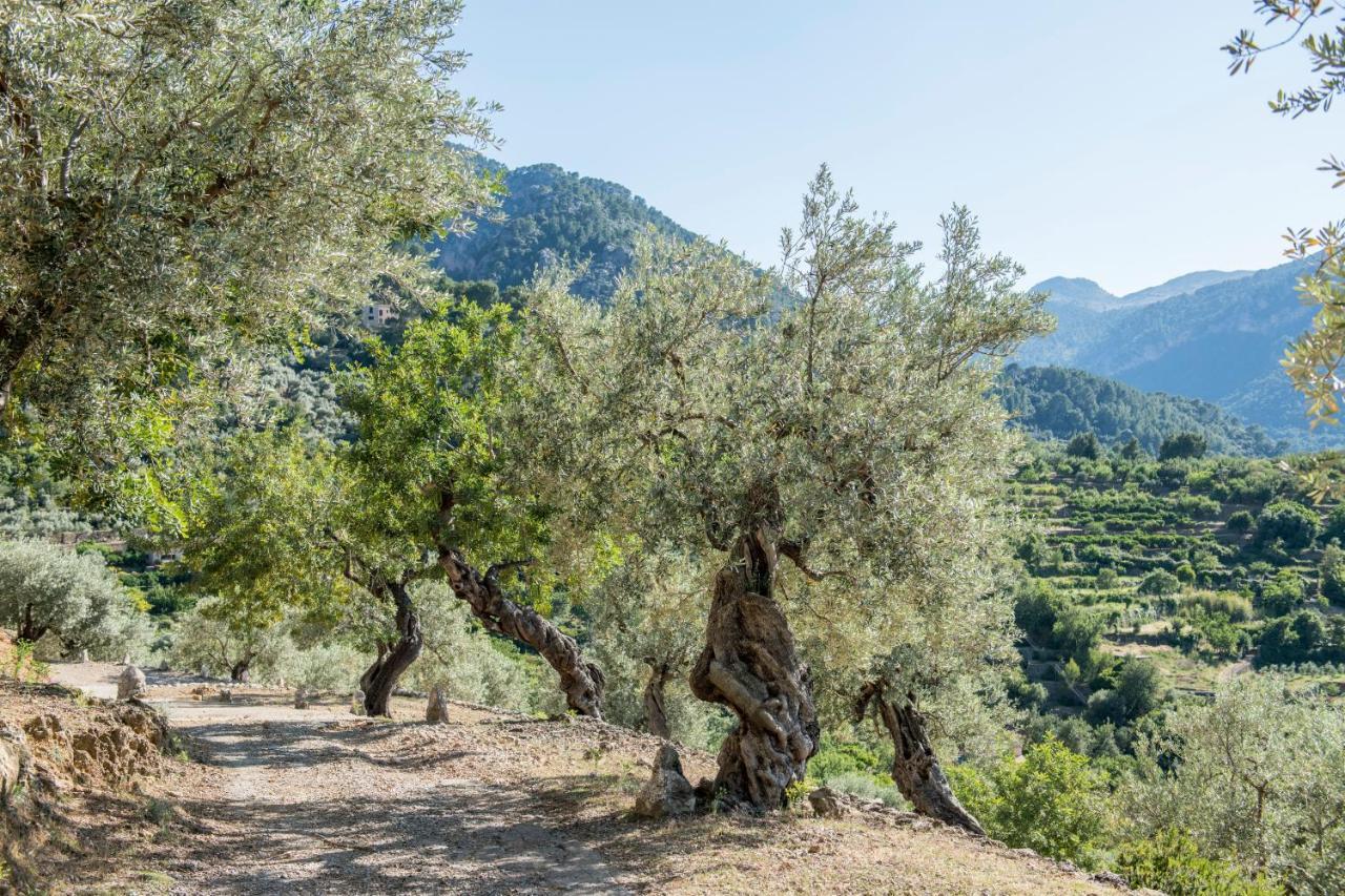Raco De Soller Villa Kültér fotó