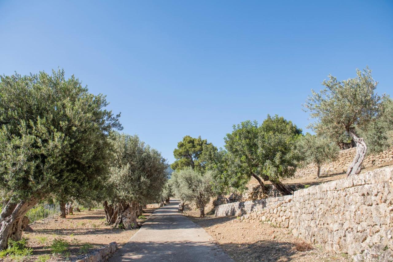 Raco De Soller Villa Kültér fotó